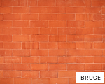 BRUCE anagram