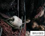 BRUISED anagram