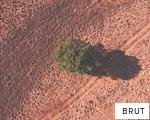 BRUT anagram