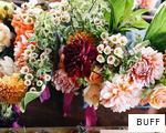 BUFF anagram