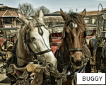 BUGGY anagram
