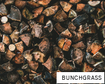 BUNCHGRASS anagram