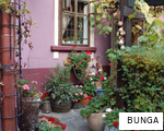 BUNGA anagram
