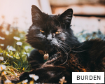 BURDEN anagram