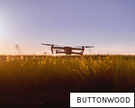 BUTTONWOOD anagram