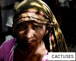 CACTUSES anagram