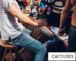 CACTUSES anagram