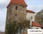 CAESAREA anagram
