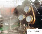 CALLOSITY anagram