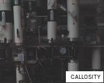 CALLOSITY anagram