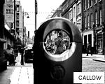 CALLOW anagram
