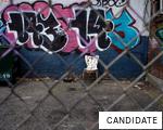 CANDIDATE anagram