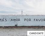 CANDIDATE anagram