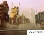 CANFIELDS anagram