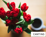 CANTING anagram