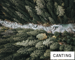 CANTING anagram