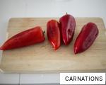 CARNATIONS anagram