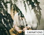 CARNATIONS anagram