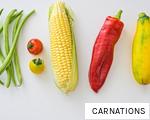 CARNATIONS anagram