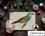 CARNIVALS anagram