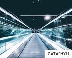CATAPHYLL anagram
