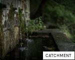 CATCHMENT anagram