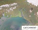 CATCHMENT anagram