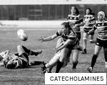 CATECHOLAMINES anagram