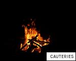 CAUTERIES anagram