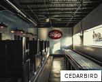 CEDARBIRD anagram