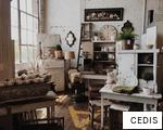 CEDIS anagram