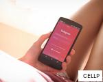 CELLP anagram