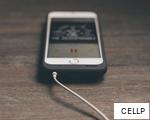 CELLP anagram