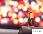 CENSE anagram