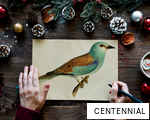 CENTENNIAL anagram