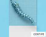 CENTIPE anagram