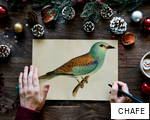 CHAFE anagram