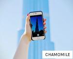 CHAMOMILE anagram