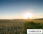CHARLOCK anagram