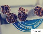 CHAWS anagram
