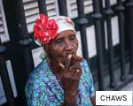 CHAWS anagram