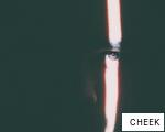CHEEK anagram