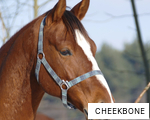 CHEEKBONE anagram