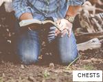 CHESTS anagram