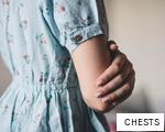 CHESTS anagram