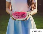 CHESTS anagram