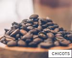 CHICOTS anagram