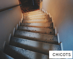 CHICOTS anagram
