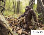 CHIMPS anagram