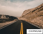 CHIPMUNK anagram